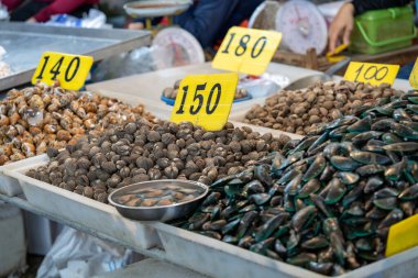 Midye yığını ya da deniz tarağı taze kabuklu deniz ürünleri. Satış için buzdaki taze deniz ürünleri..
