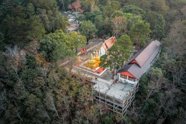 Wat Phra Doi Tung kuş gözlüklü ünlü bir tapınak ve Budizm mekanı. Tayland 'ın kuzeyindeki Chiang Rai eyaletindeki dağa yerleşti..