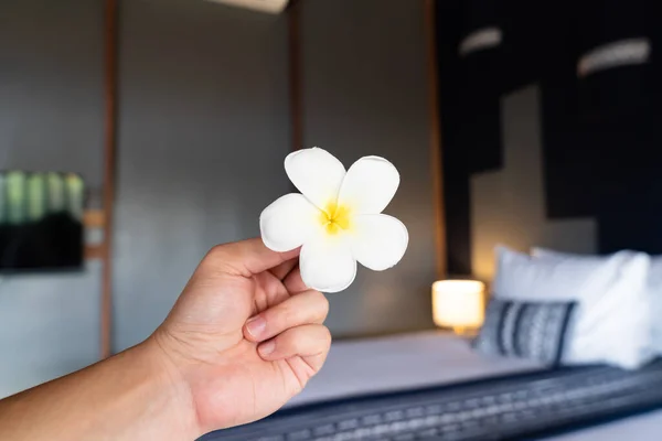 Bunga Frangipani Atau Lan Thom Tangan Asia Thailand Depan Kamar — Stok Foto