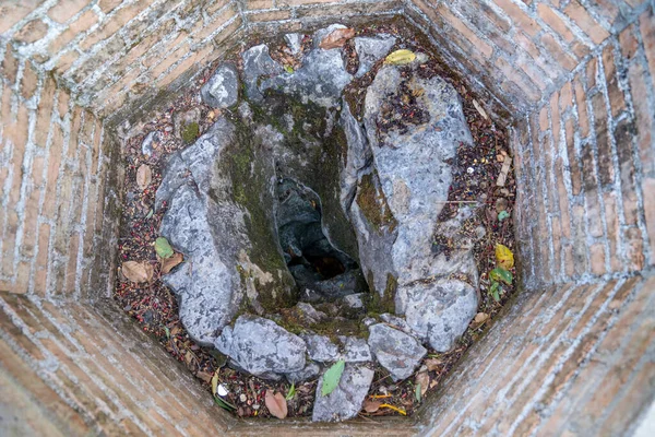 穴に閉じこもるツリーの中 ワット プラの精神的なエリアタイ北部チェンライ省土井桐寺 — ストック写真