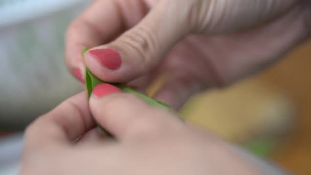 Close Tot Jonge Vrouw Hand Proberen Scheiden Uit Middellijn Stok — Stockvideo