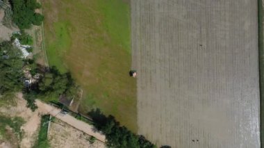 Tarımsal araç nakli aracının üst görüntüsü. Açık gökyüzündeki bir çeltik tarlasında pirinç filizlenmesi. Drone bakış açısından..