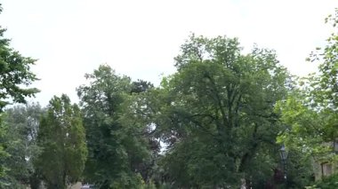 Bourton-on-the-Water, Birleşik Krallık, 12 Temmuz 2023, yüksek açılı bir manzara, insanların büyük yeşil ağaçların altında sığ bir nehir kenarı geçidi boyunca yürüdüğünü gösteriyor..