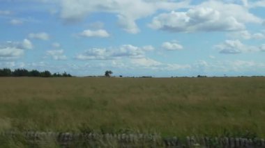 Burford, Oxfordshire, Birleşik Krallık, 12 Temmuz 2023, Fields Londra 'ya doğru giderken yol kenarına yayıldı. Bulutlar yumuşak gün ışığında geniş kırsal araziyi kaplar..