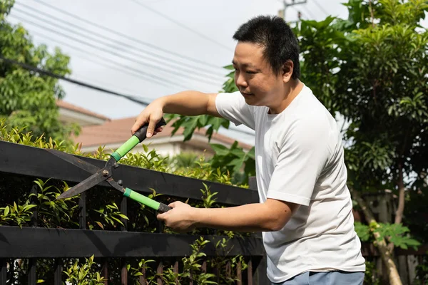 Bitkileri özenle temizleyip budayarak basit evde bakım sükunetinin tadını çıkarıyor. Rutin ve farkındalık arasında barışçıl bir denge.