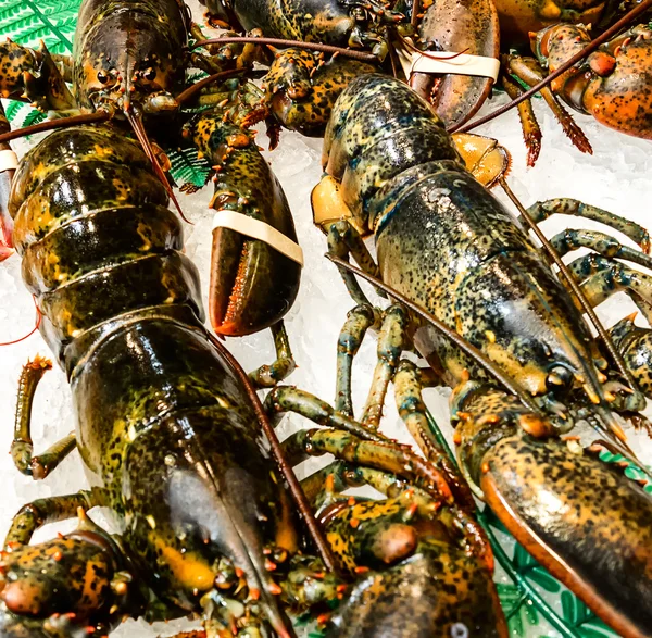 Mercado de pescado: langostas vivas en venta — Foto de Stock