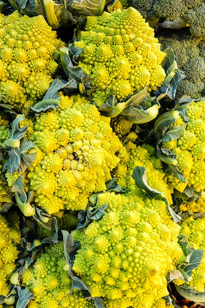 Romanesco-Karfiol-Brócolis-Couve-flor — Fotografia de Stock