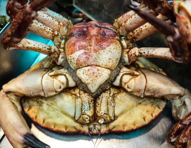 Harika yenilebilir Yengeç canlı bir balık Pazar Lizbon