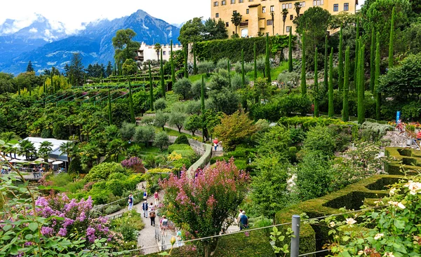 Tuinen van het kasteel Trauttmannsdorf in Meran, Zuid-Tirol — Stockfoto