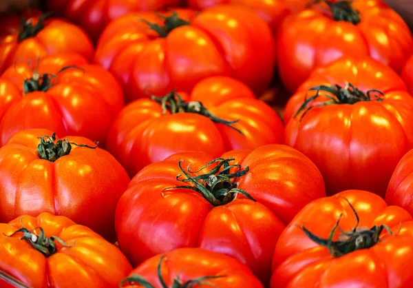 Taze kırmızı sığır domates — Stok fotoğraf
