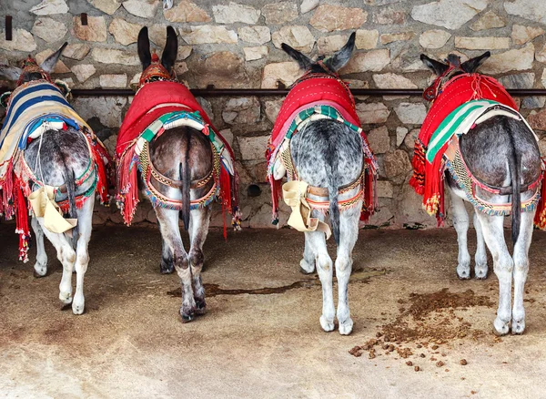 Bunt geschmückter Esel (genannt Burro-Taxi) auf einem Rastplatz in Mijas in der Nähe von Malaga, Spanien — Stockfoto