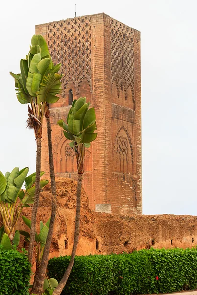 La tour Hassan à Rabat, Maroc — Photo