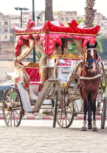 Carruaje tirado por caballos en la plaza principal Hedim en Meknes, Marruecos — Foto de Stock