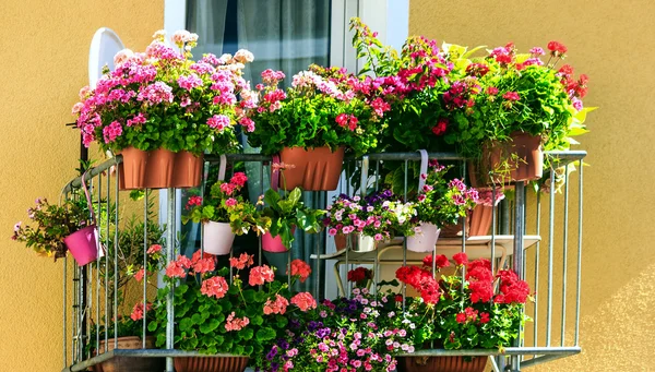 Varanda com muitos vasos de flores — Fotografia de Stock