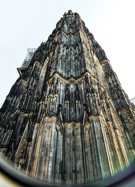 Catedral de Colonia, Alemania —  Fotos de Stock