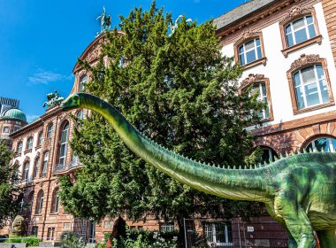 Frankfurt am Main 'deki Senckenberg Doğa Tarihi Müzesi, Avrupa' nın en büyük dinozor fosilleri koleksiyonunun büyük bir bölümü olan çocuklar arasında özellikle popüler.. 