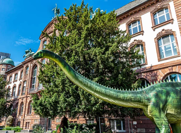 Muzeum Historii Naturalnej Senckenberg Frankfurcie Nad Menem Jest Szczególnie Popularne Obrazek Stockowy