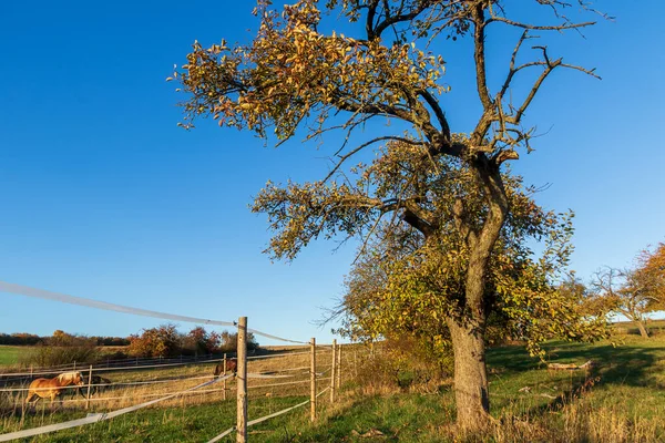 Paisaje Rural Detrás Los Jardines Termales Bad Saulgau Alemania — Foto de Stock