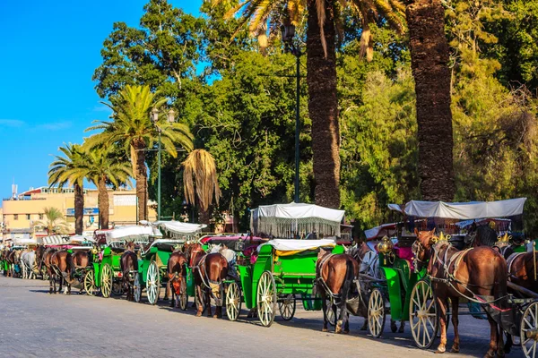 Carruajes tirados por caballos en la plaza principal de Marrakech — Foto de Stock