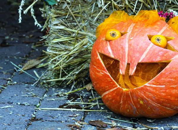 Orange pumpkin in the straw — Stock Photo, Image