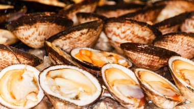 Amande de Mer, Fransız midye