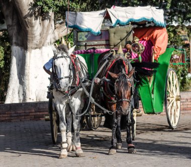 horst çizilmiş taşıma