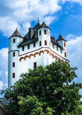 Castle Eltville am Rhein. Şarap ve gül şehir