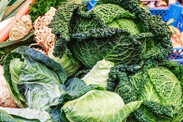 Fresh Cabbages Arrangement — Stock Photo, Image