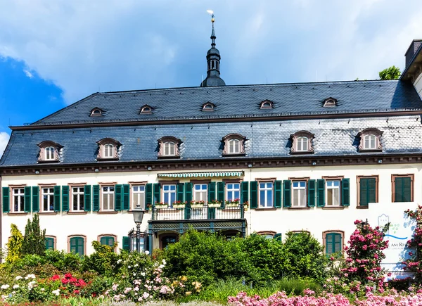 Castle Eltville am Rhein. Şarap ve gül şehir — Stok fotoğraf