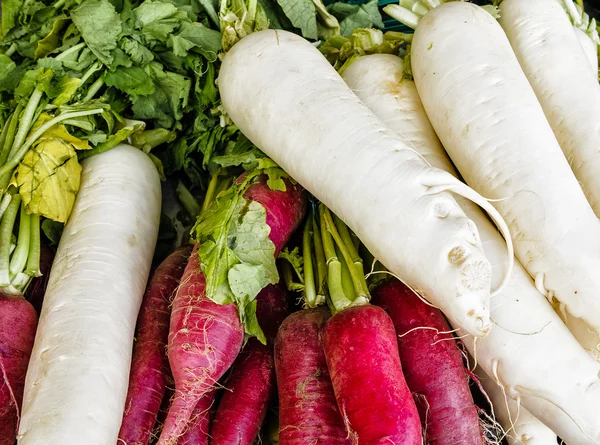 Red and white radish — Stock Photo, Image