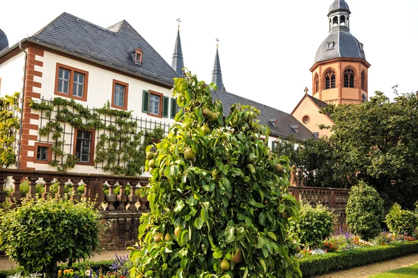 Zárda garden és a bazilika a seligenstadt a bankok a folyó fő, Németország — Stock Fotó