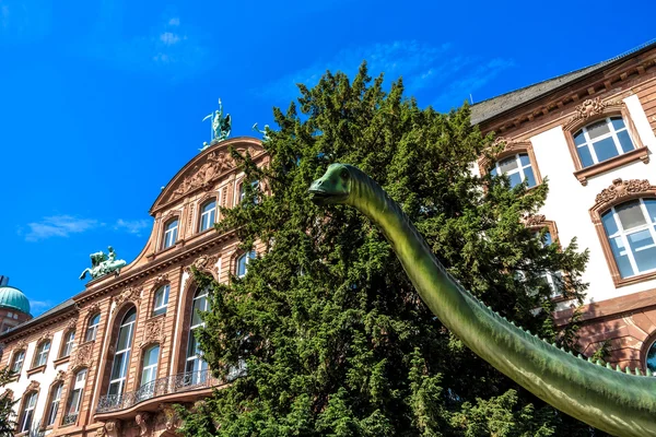 Naturmuseum Senckenberg Müzesi Frankfurt am Main, Almanya