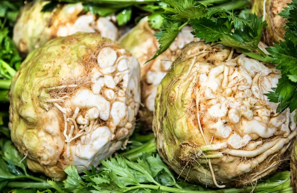 Fresh celery — Stock Photo, Image