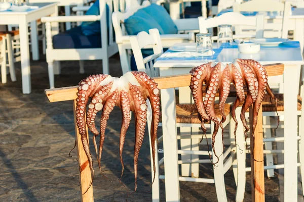 Fresh Octopus hanging in front of a Greek Seafood Restaurant — Stock Photo, Image