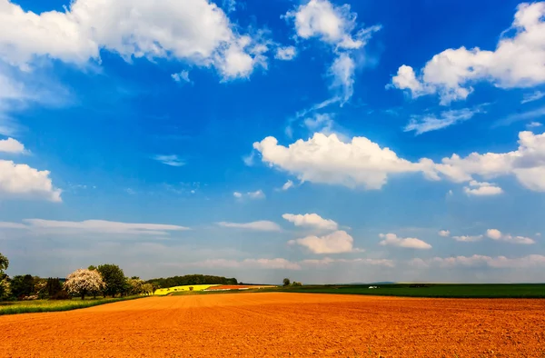 Paisaje con campos antes del atardecer en primavera —  Fotos de Stock