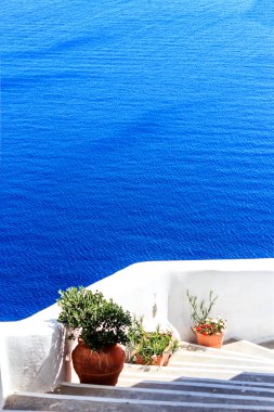 Dik bir merdiven Saksı bitkileri Santorini'de (Oia), Yunanistan ile dekore edilmiş
