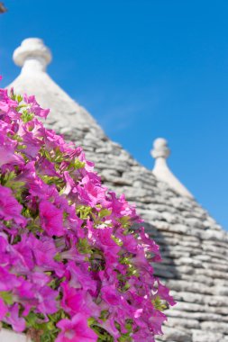 Alberobello Trulli denilen tipik binalar