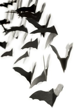 Durian Dragon yarasalar