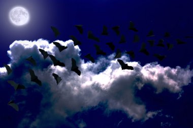 Durian Dragon yarasalar