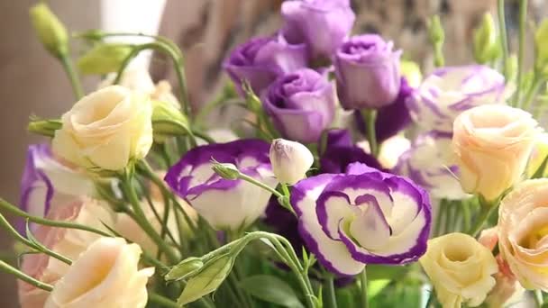 Krásné květiny Eustoma dívka drží v rukou na slunný den — Stock video