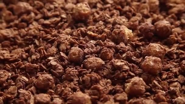 Granola de ciocolată cu nuci se rotește pe o farfurie . — Videoclip de stoc
