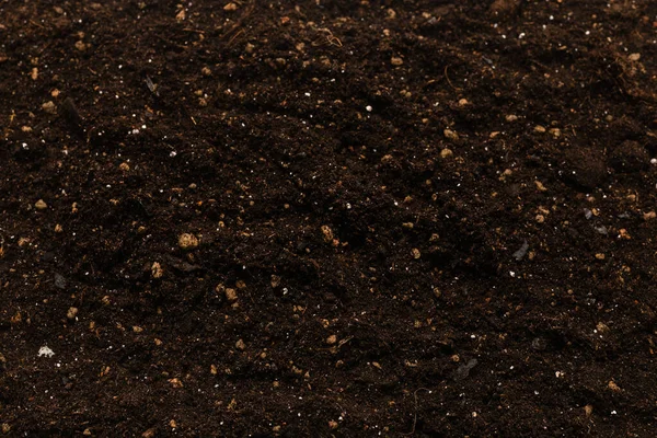 Black Land Plant Background Top View — Stock Photo, Image