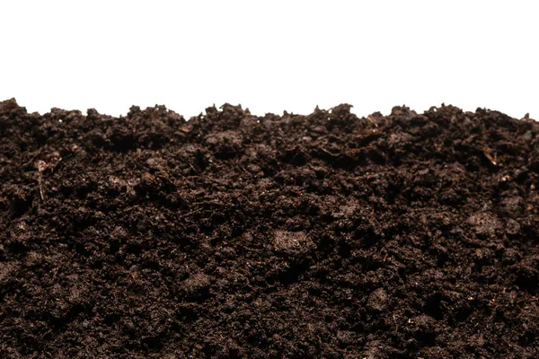 Beyaz arka planda izole edilmiş bitkiler için kara toprak. 