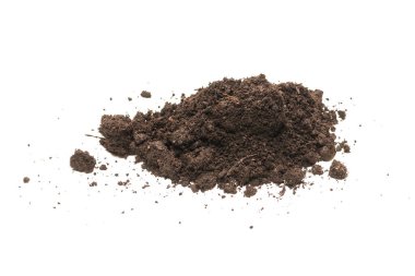Beyaz arka planda izole edilmiş bitkiler için kara toprak. 