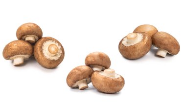 Beyaz arka planda izole edilmiş lezzetli mantar..