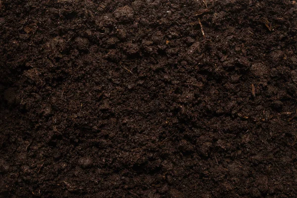Черная Земля Растительного Фона Вид Сверху — стоковое фото