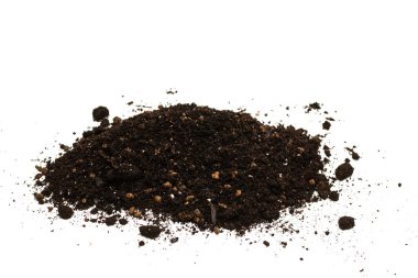 Beyaz arka planda izole edilmiş bitkiler için kara toprak. 