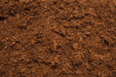 Hindistan cevizi substrat arka planı. Üst görünüm.