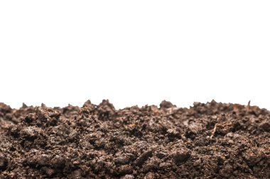 Beyaz arka planda izole edilmiş bitkiler için kara toprak. 