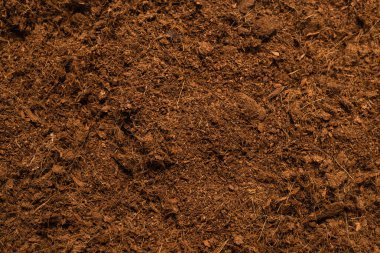 Hindistan cevizi substrat arka planı. Üst görünüm.